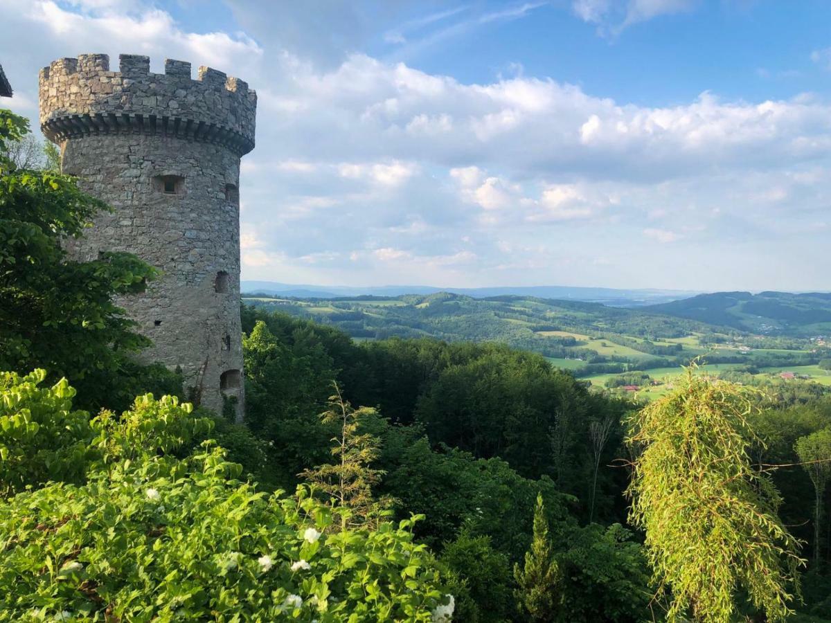 Burg Plankenstein Otel Texing Dış mekan fotoğraf