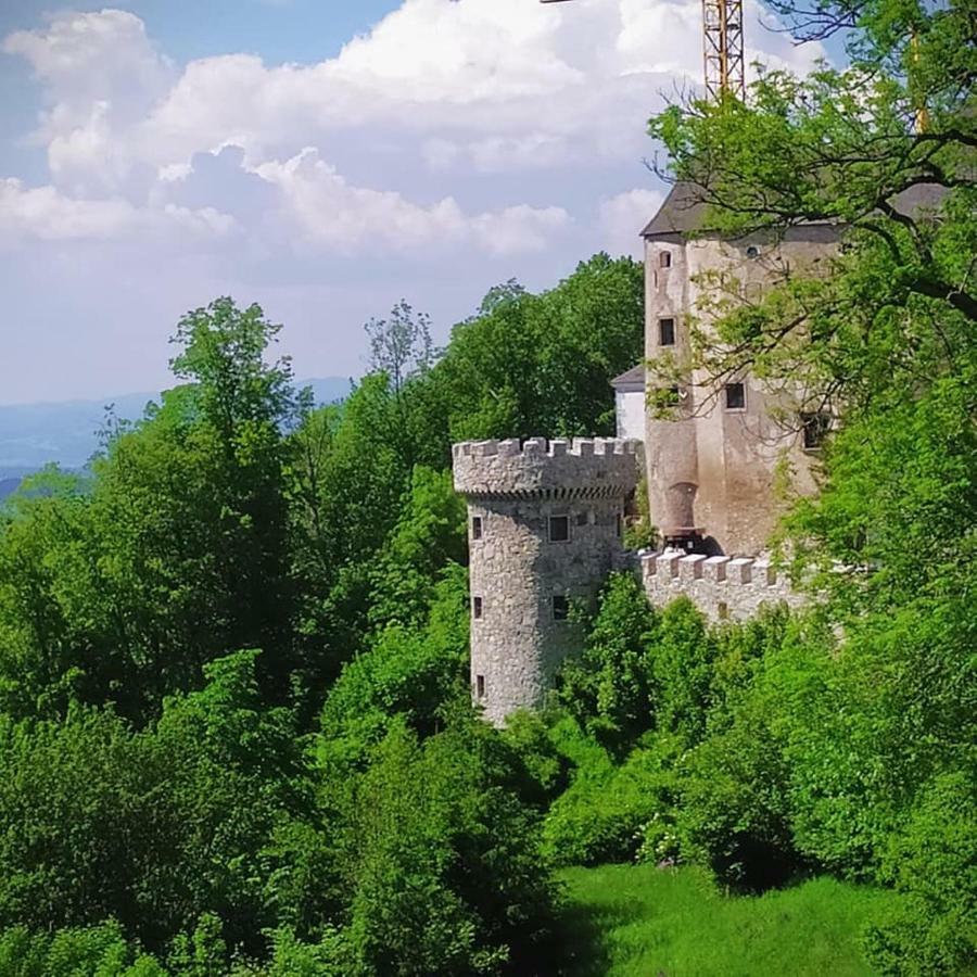 Burg Plankenstein Otel Texing Dış mekan fotoğraf