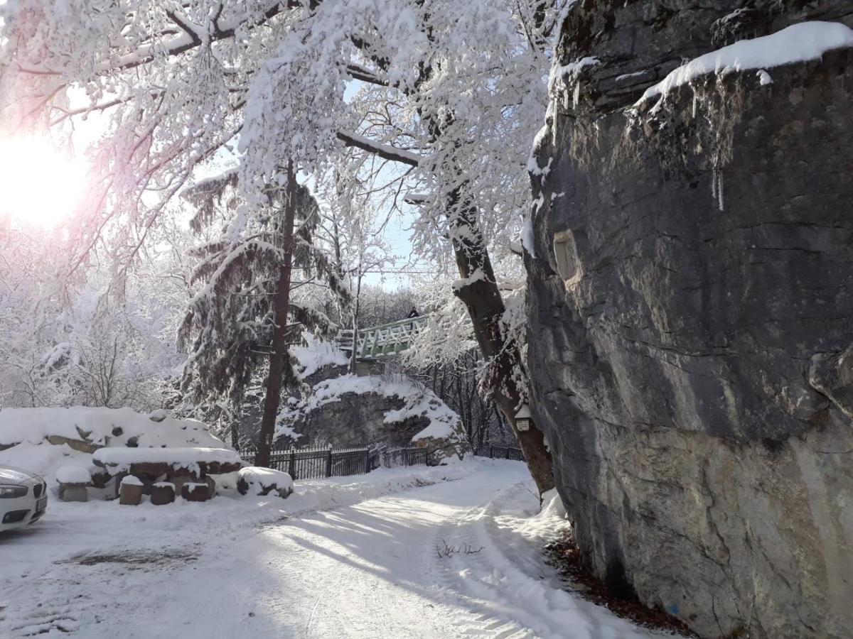 Burg Plankenstein Otel Texing Dış mekan fotoğraf