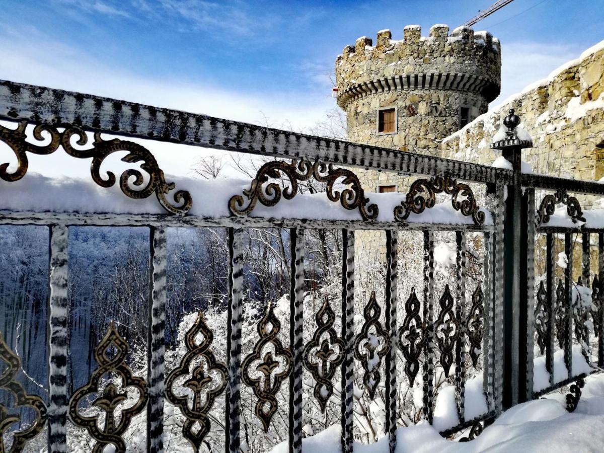 Burg Plankenstein Otel Texing Dış mekan fotoğraf