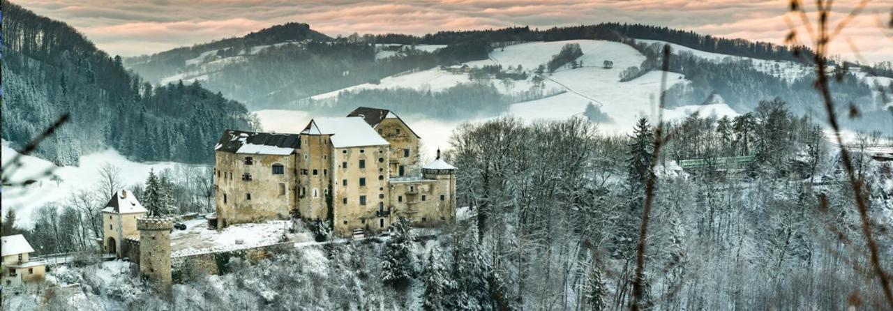 Burg Plankenstein Otel Texing Dış mekan fotoğraf