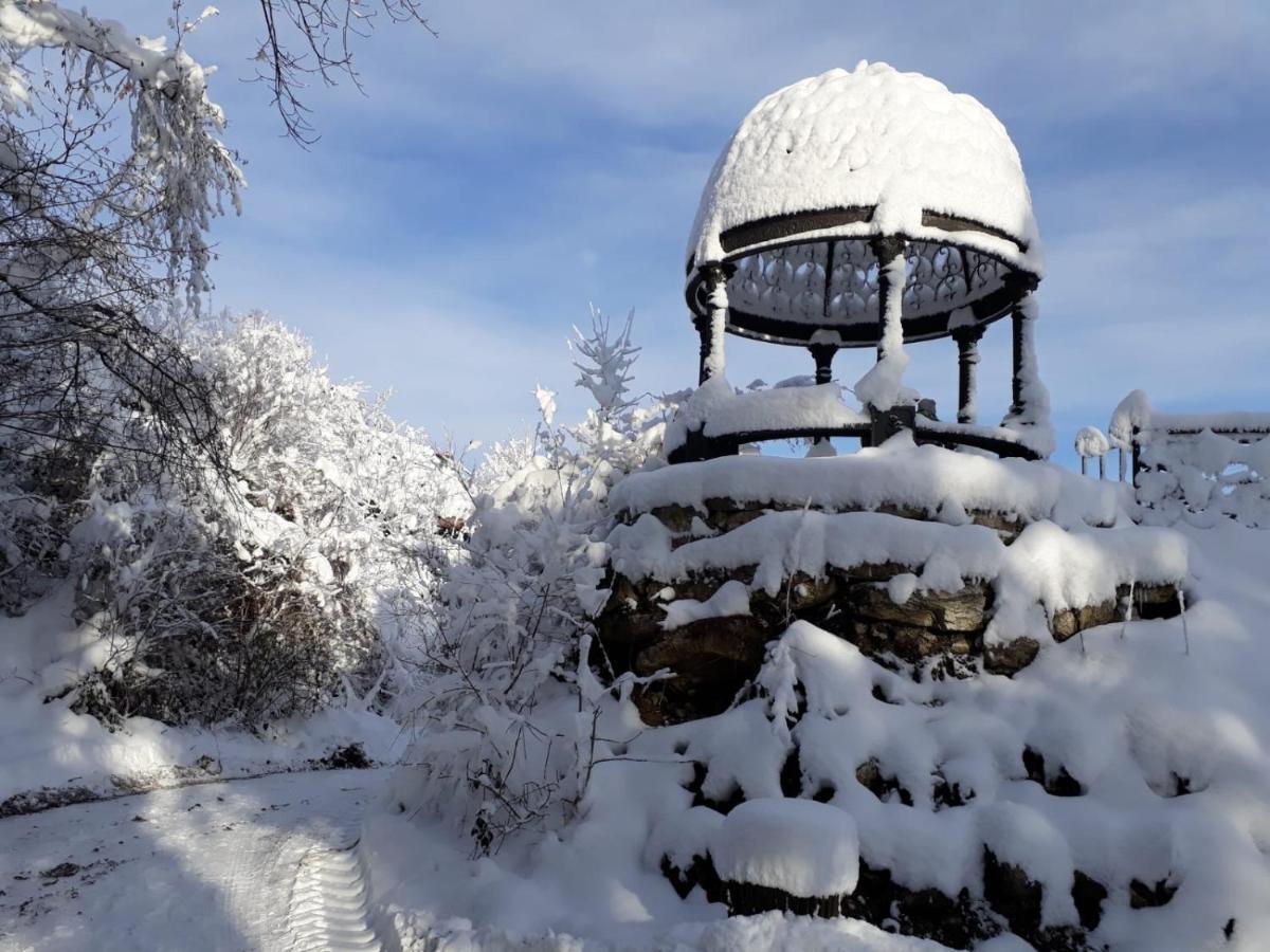 Burg Plankenstein Otel Texing Dış mekan fotoğraf
